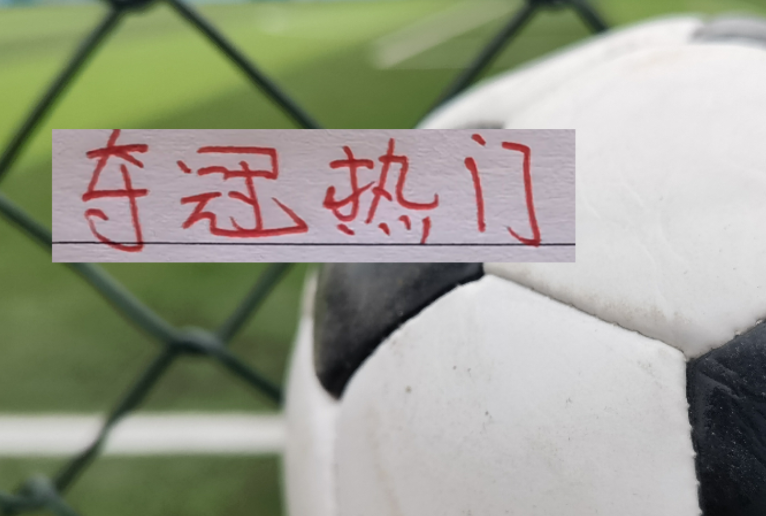 KAIYUN体育-争冠要拼爹！正常人不会把三连冠队伍海港 排除在中超夺冠热门外